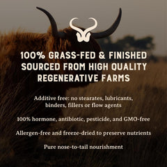 Grass-fed beef organs including liver and heart collage
