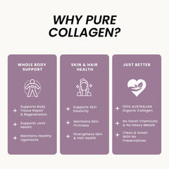 Grass-fed liver and collagen ingredients artwork