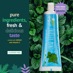 Green Beaver Frosty Mint toothpaste packaging 2.5 oz