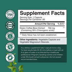 Green coffee bean extract capsules – weight management