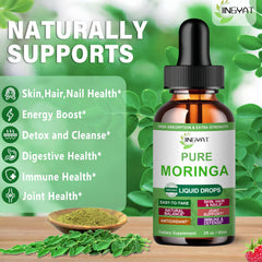Illustration of green superfood moringa liquid ingredients