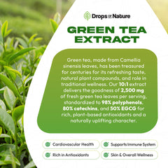 Infographic of antioxidant polyphenols in green tea extract