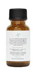 Aromatherapy setup featuring Green Tea Essential Oil