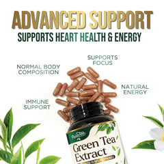 Green Tea Extract capsules nutrition and ingredients panel