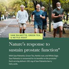 Green tea leaves used in Gaia Herbs Prostate Health