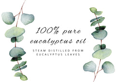DIY cleaning spray made with eucalyptus essential oil