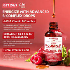 Active methylated B12 and methylfolate absorption illustration