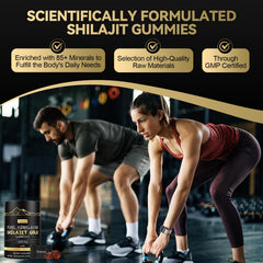 Shilajit gummies ingredients and minerals