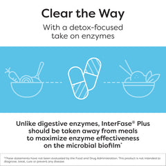 Gut flora support concept with InterFase Plus