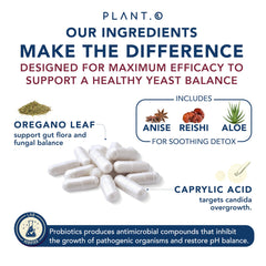 Gut health and digestion support for candida balance