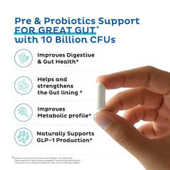 Graphic illustrating gut health and GLP-1 support