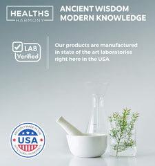 Gut health and probiotic support visual