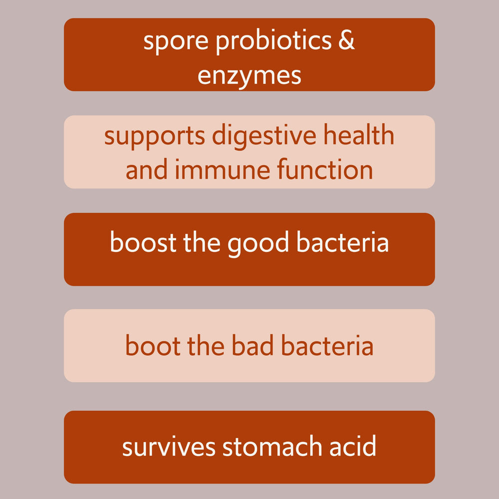 Graphic showing healthy gut microbiome balance