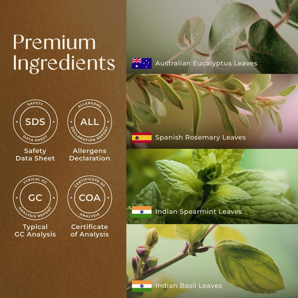 GC/MS and MSDS safety testing certificates for the essential oil