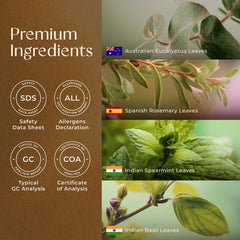 GC/MS and MSDS safety testing certificates for the essential oil