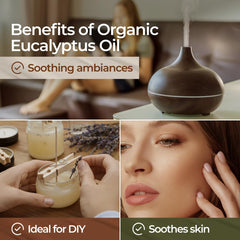 Eucalyptus essential oil for hair care routines