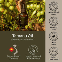 Safety and quality testing labels on Tamanu oil (GC/MS, COA)