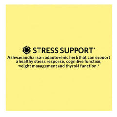 Graphic highlighting stress relief and mood support features