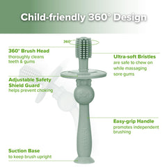 Suction base holding toothbrush upright on flat surface