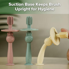 Suction base that stands upright for hygienic storage