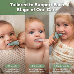 haakaa Training Toothbrush Set Pea Green – Stage 3 360° Silicone Baby Toothbrush (6 months and up)