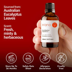 DIY candles and soaps made with eucalyptus essential oil