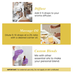 Helichrysum essential oil used in diffuser and aromatherapy