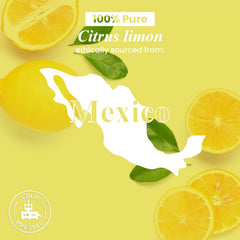 USA bottled Handcraft Blends lemon essential oil