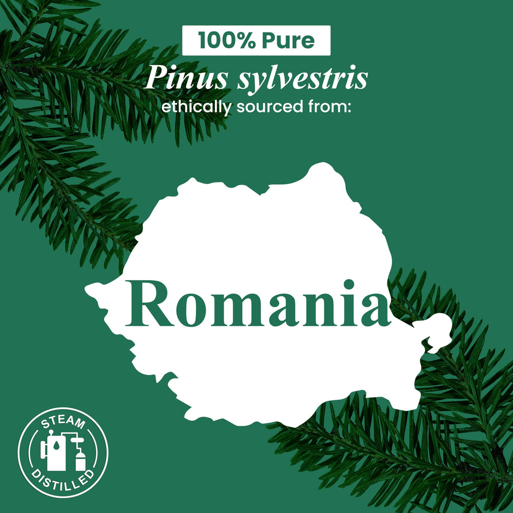 Handcraft Blends label on pine essential oil bottle