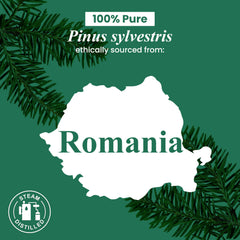 Handcraft Blends label on pine essential oil bottle
