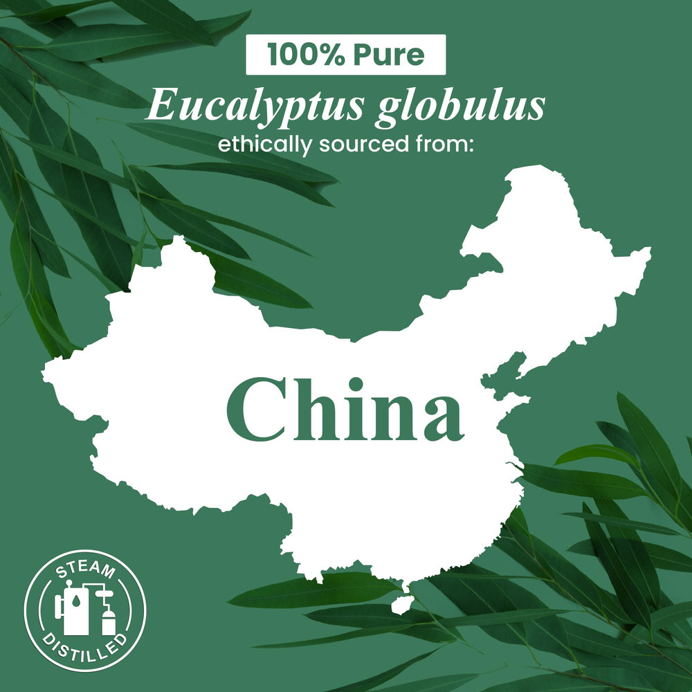 USDA Organic eucalyptus oil bottled in the USA by Handcraft Blends
