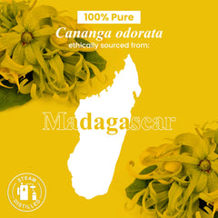 Ylang Ylang essential oil for candle and soap making