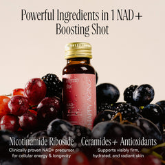 Happy Aging liposomal NAD+ delivery emphasizes efficient uptake and antioxidant synergy.