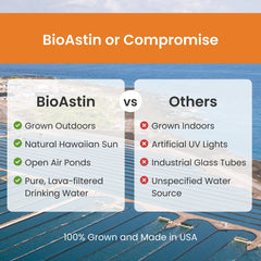 Hawaiian astaxanthin cultivation in sun-drenched ponds