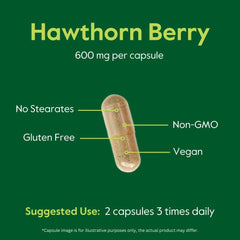 Back packaging of Bestvite Hawthorn Berry bottle
