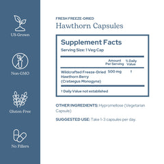 Oregon-grown hawthorn berries harvested at peak potency