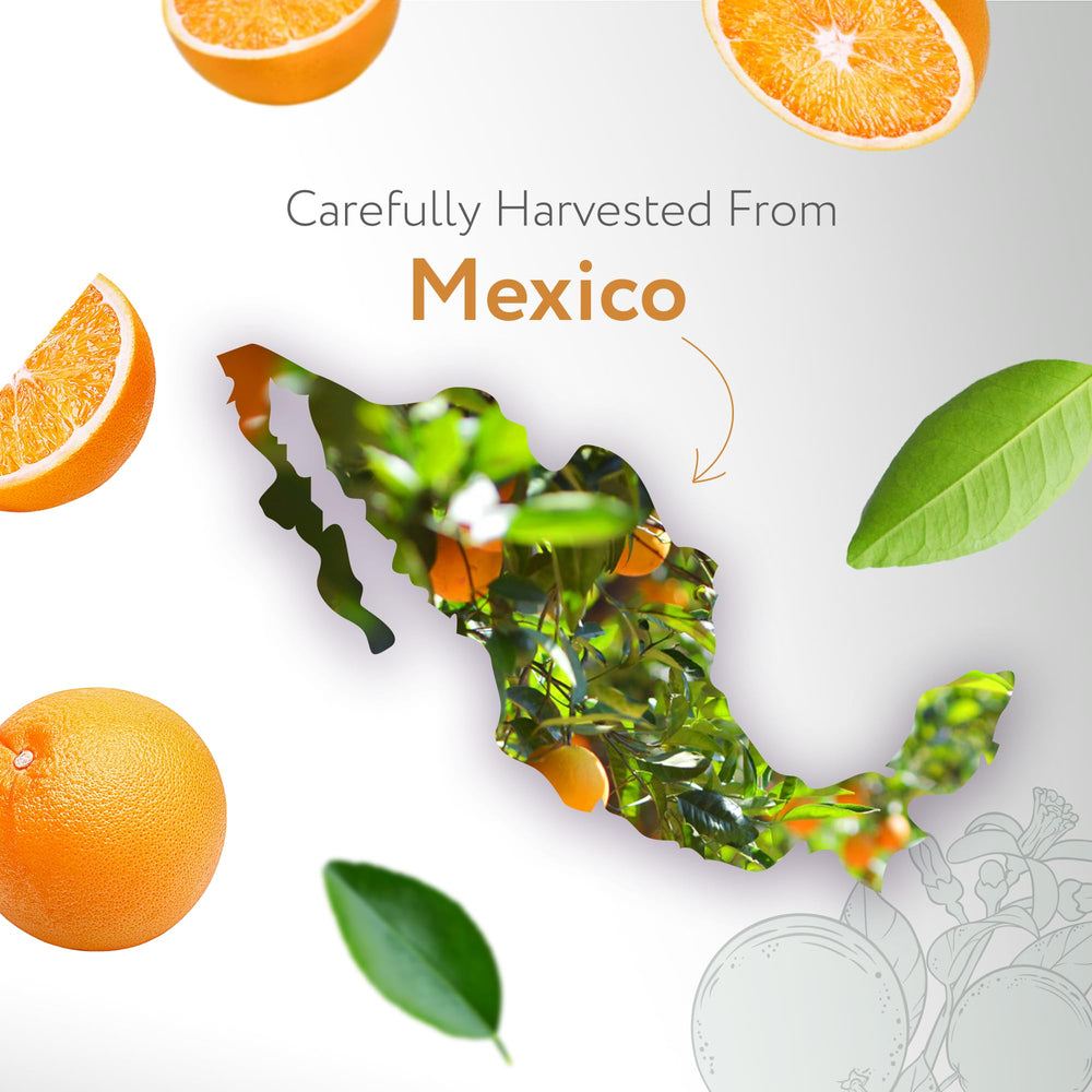 HBNO Organic Orange Oil enhances cleaning routines with natural citrus notes.