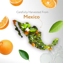HBNO Organic Orange Oil enhances cleaning routines with natural citrus notes.