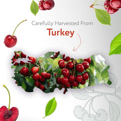 HBNO Organic Cherry Kernel Oil dropper-cap shows precise control for DIY blends.