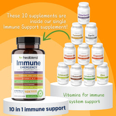 Bottle and ingredients featuring elderberry, zinc, echinacea, and turmeric