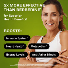 HealMeal Dihydroberberine with cinnamon blend highlighting bioavailability
