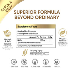 NADH brain health and cognitive support