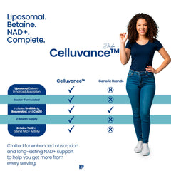 Betaine TMG supports extended NAD+ levels