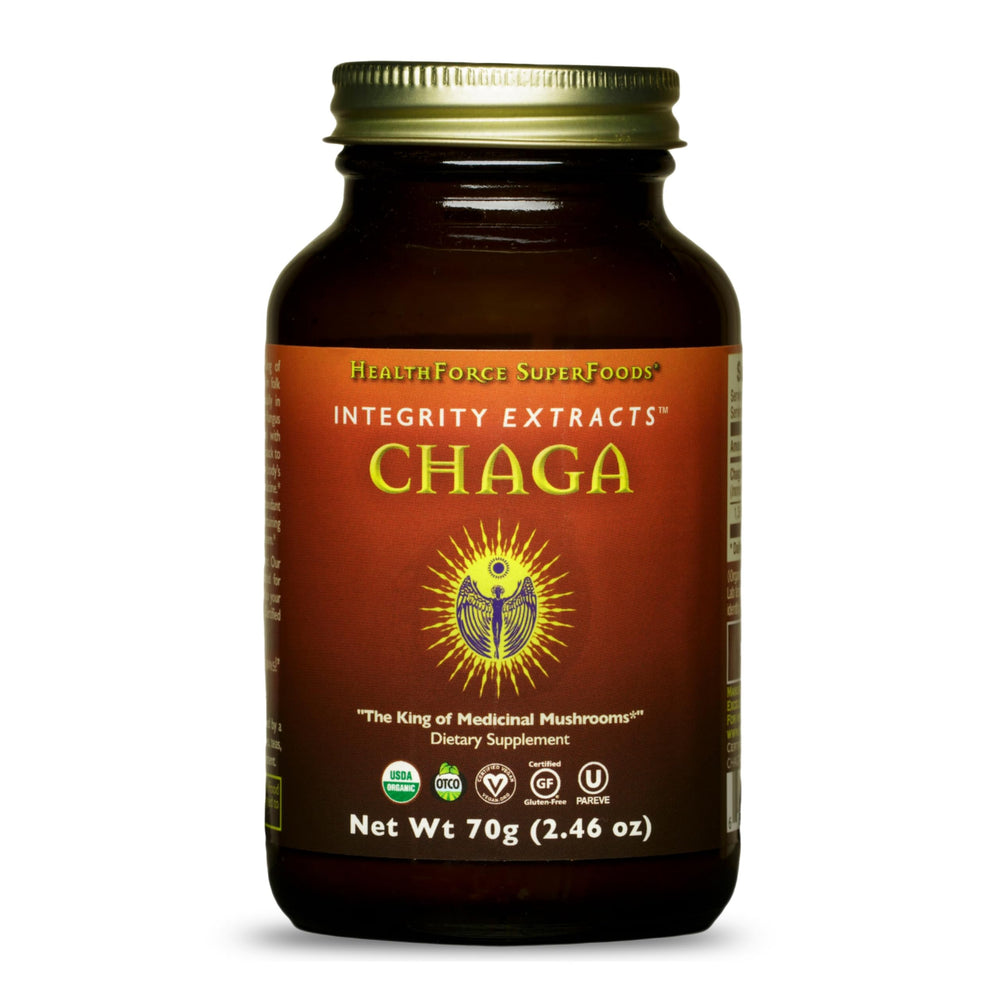HealthForce Chaga powder bottle front view, 70 g