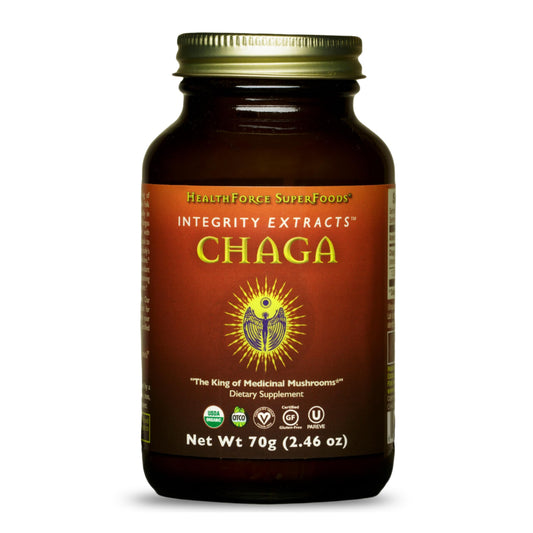 HealthForce Chaga powder bottle front view, 70 g