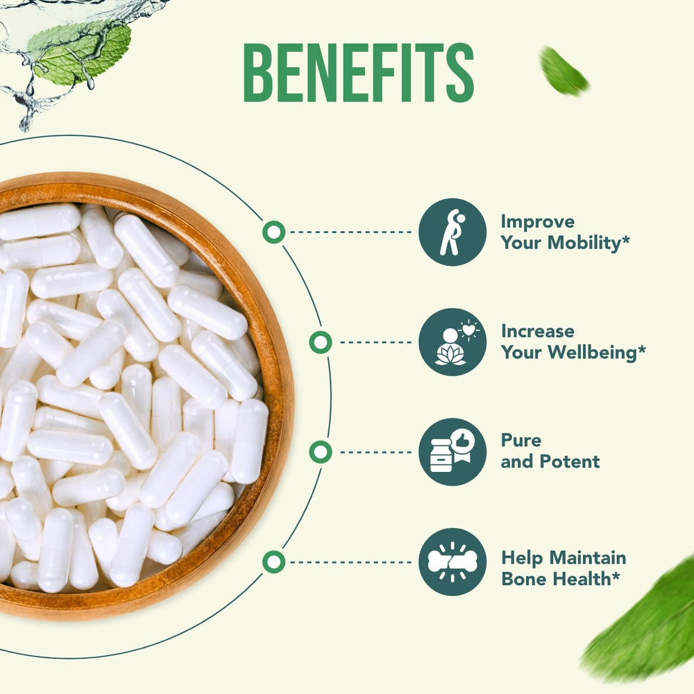 SAM-e liver support benefits visual