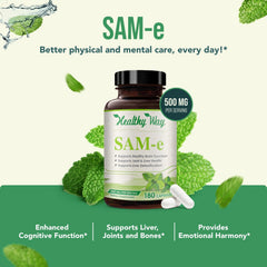 SAM-e mood support benefits visual