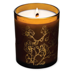 Hemlock Park Amber Gold Leaf Candle in a clear glass jar with a wood wick