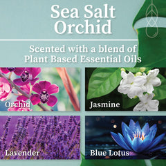 Sea Salt Orchid scent Hemlock Park candle in a minimal setting
