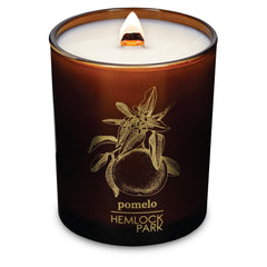 Hemlock Park Amber & Gold Wood Wick Candle 7.2 oz Pomelo Citrus – product front view